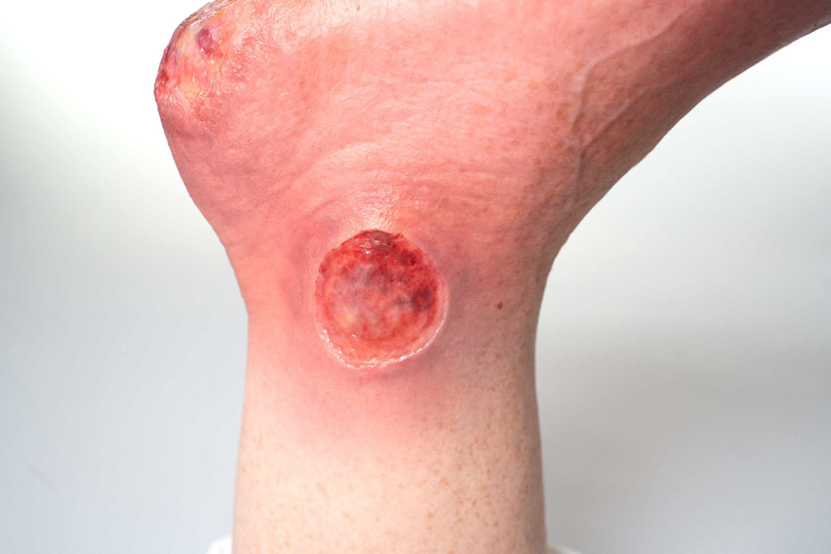 Base Model 6개의 상처가 있는 두 발가락 발 - Image 8