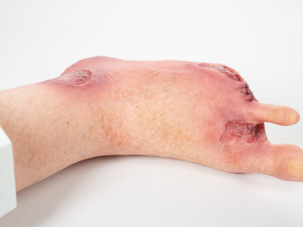 Base Model 6개의 상처가 있는 두 발가락 발 - Image 13