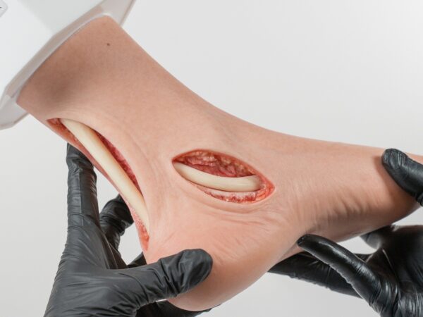 Modelo base Pie con 2 tendones expuestos, tendón de Aquiles, tendón tibial posterior - Image 16