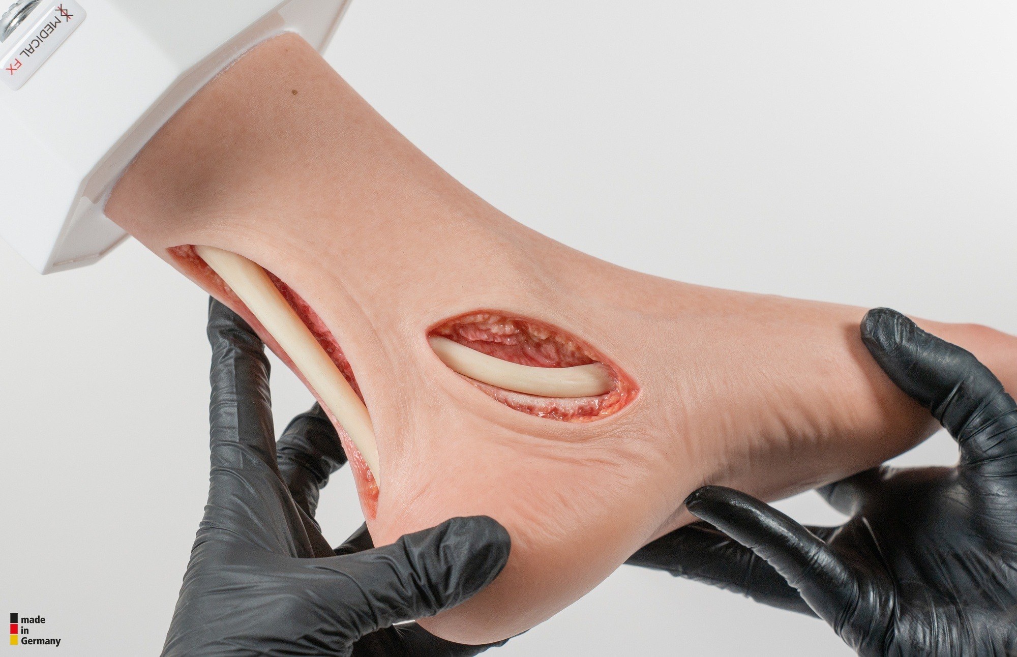 Modelo base Pie con 2 tendones expuestos, tendón de Aquiles, tendón tibial posterior - Image 16
