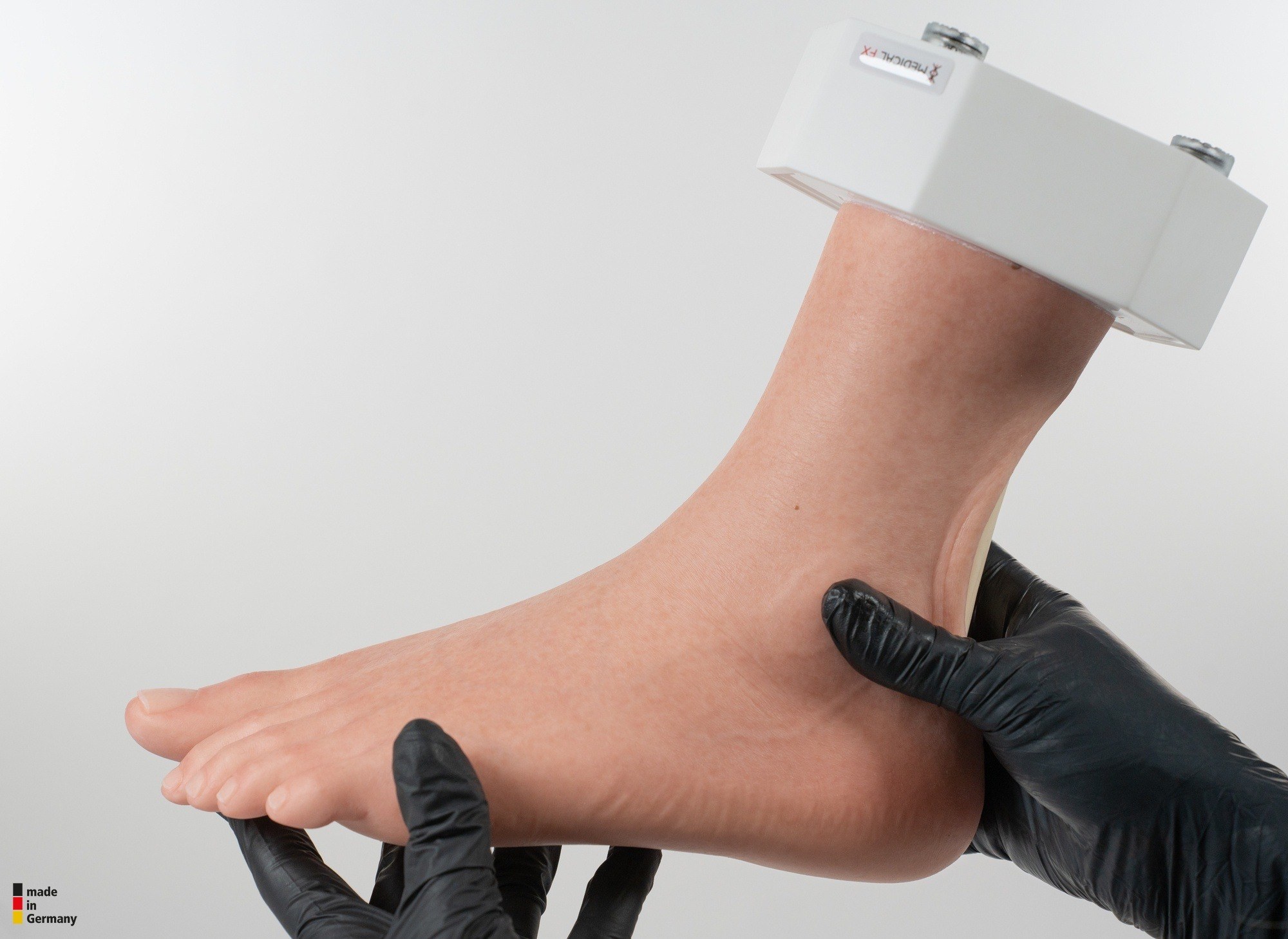 Modelo base Pie con 2 tendones expuestos, tendón de Aquiles, tendón tibial posterior - Image 19