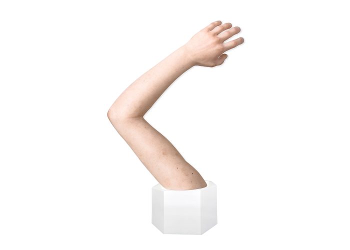 Sockelmodell-Arm-ohne-Wunden-medicalfx-germany-realistic