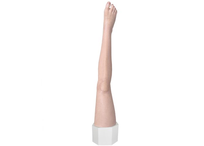 Sockelmodell-Bein-ohne-Wunden-medicalfx